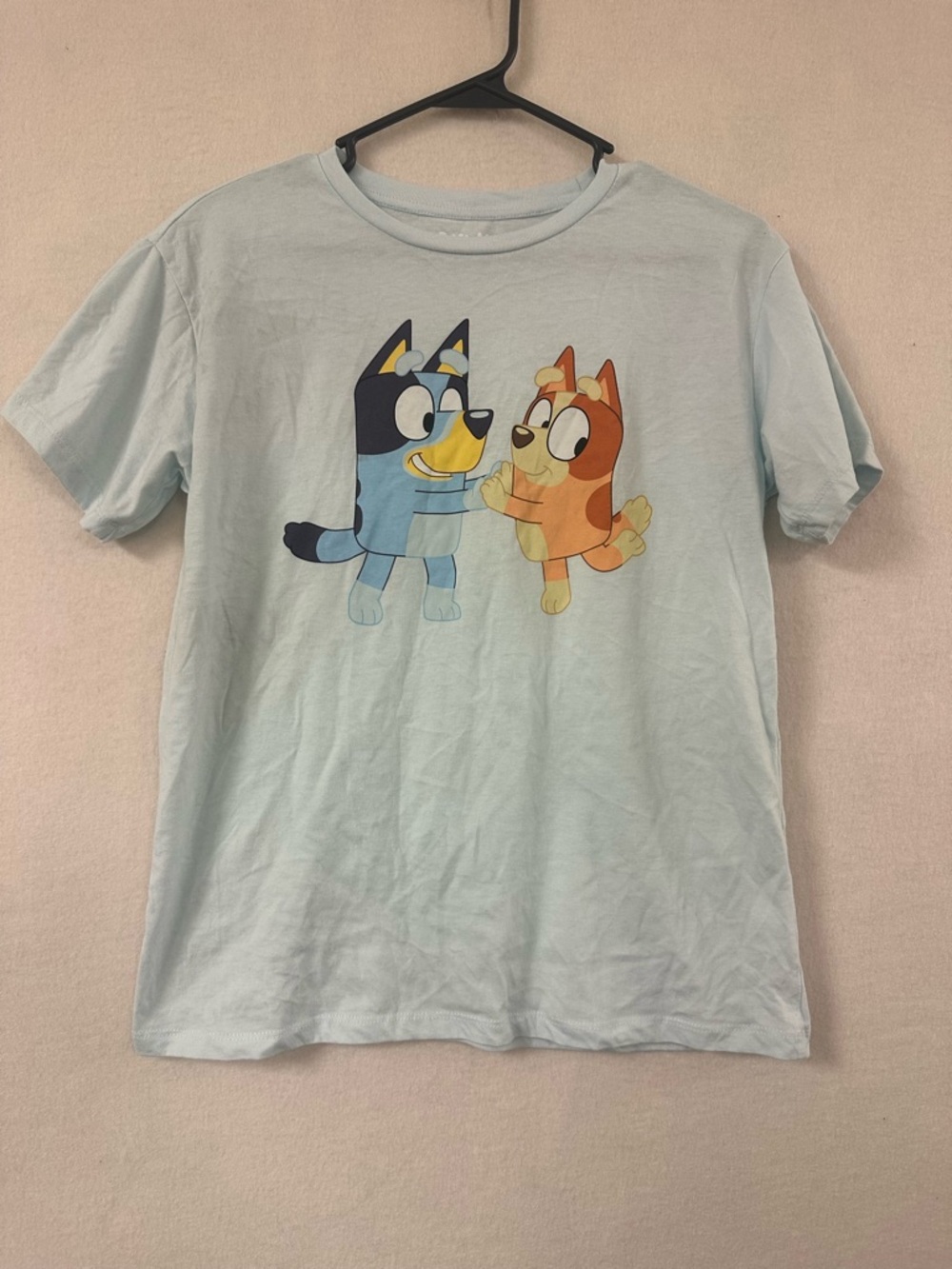 Bluey & Bingo Dancing Sister T-shirt Kids XL 14-16 Children’s Tee Blue Top